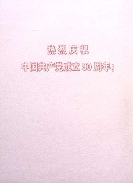 盐城年鉴 2011.pdf电子版_江苏省志预览图3