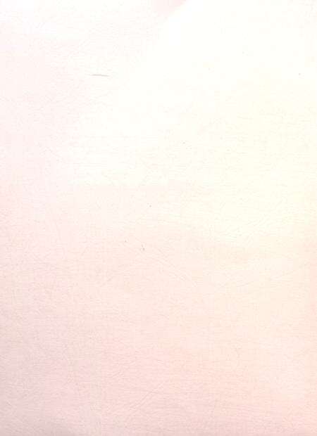 盐城年鉴 2013.pdf电子版_江苏省志预览图3