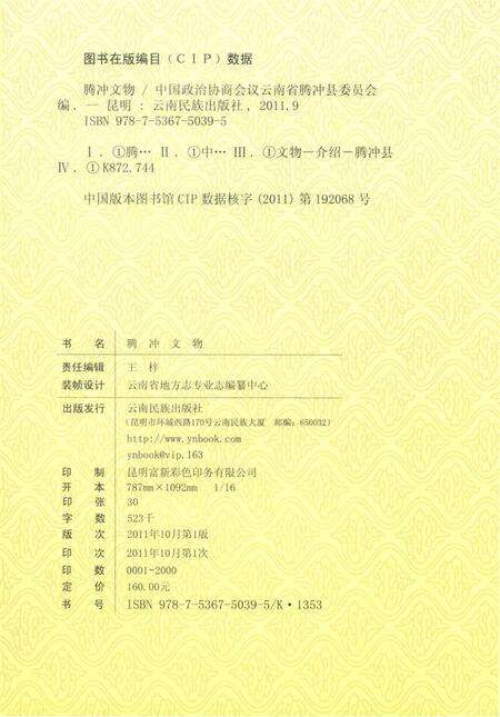 腾冲文物.pdf电子版_云南省志预览图3