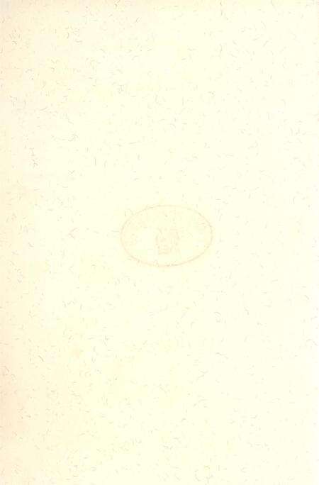 腾飞防城港.pdf电子版_广西壮族自治区志预览图3