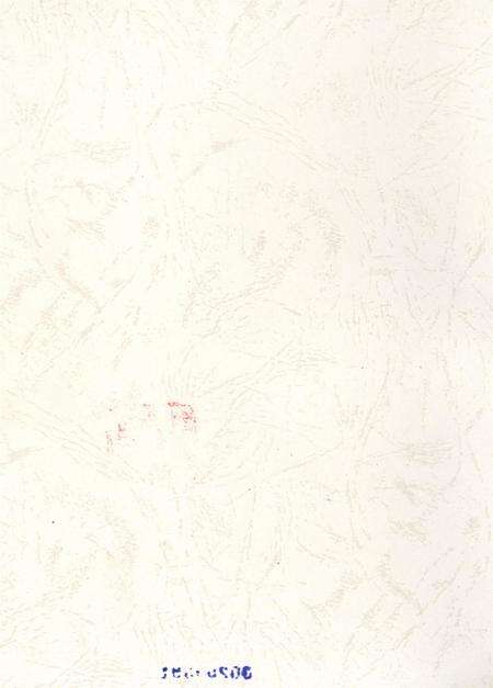 自贡年鉴2010.pdf电子版_四川省志预览图3