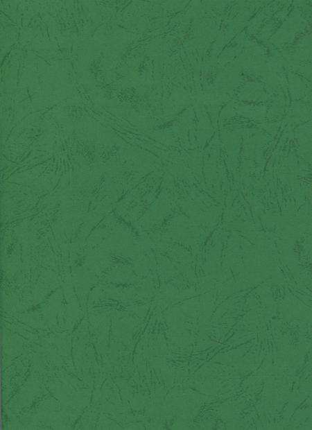 简阳年鉴·2004.pdf电子版_四川省志预览图3