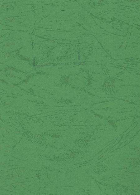 简阳年鉴·2007.pdf电子版_四川省志预览图3