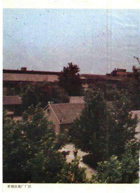 莱钢冶炼厂志  第1卷  1966-1985.pdf电子版_山东省志预览图3