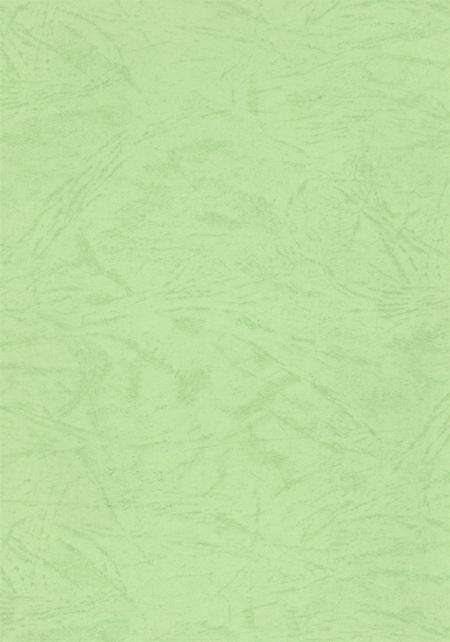 资阳统计年鉴（2000）.pdf电子版_四川省志预览图3