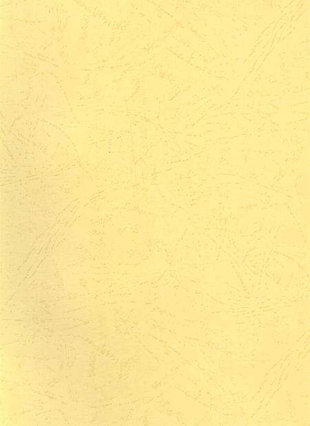 资阳统计年鉴（2003）.pdf电子版_四川省志预览图3