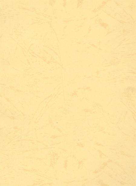 资阳统计年鉴（2004年）.pdf电子版_四川省志预览图3