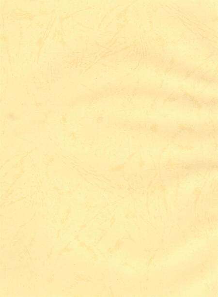 资阳统计年鉴（2005年）.pdf电子版_四川省志预览图3