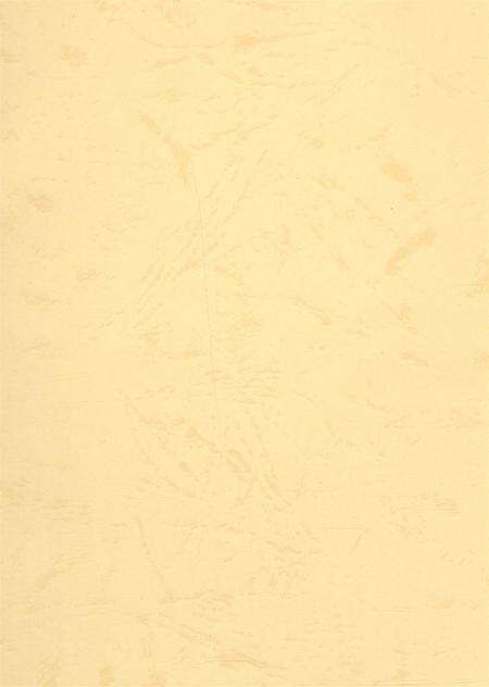 资阳统计年鉴（2006年）.pdf电子版_四川省志预览图3