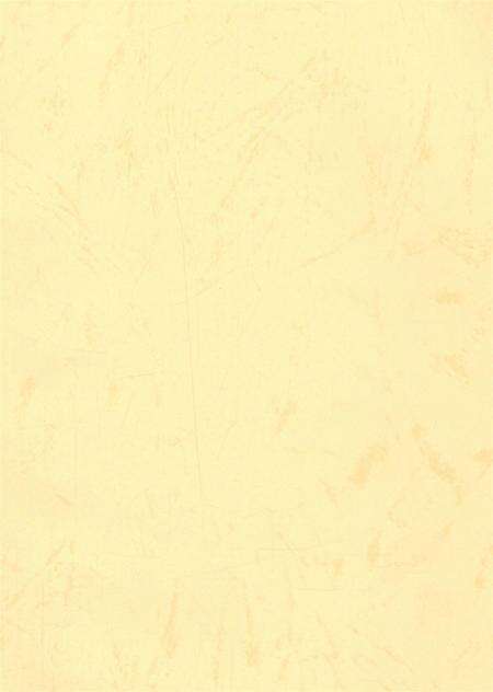 资阳统计年鉴（2007）.pdf电子版_四川省志预览图3