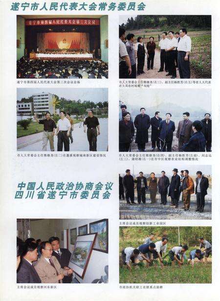 遂宁年鉴2002.pdf电子版_四川省志预览图3