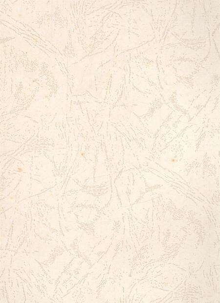 遂宁年鉴（2008年卷）.pdf电子版_四川省志预览图3