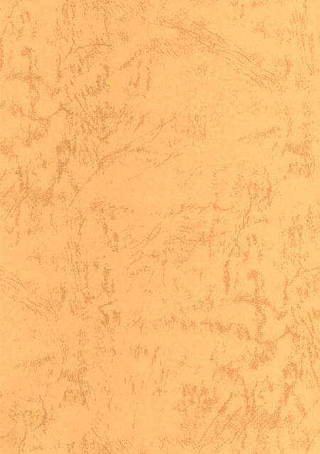 郑州年鉴2001.pdf电子版_四川省志预览图3