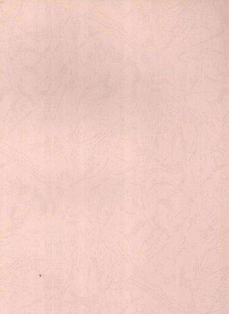 郴州年鉴2009.pdf电子版_湖南省志预览图3