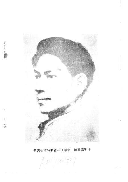 蚌埠党史资料  第4辑.pdf电子版_安徽省志预览图3