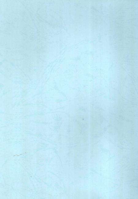 铁道部第五工程局第五工程处志 1974-1999.pdf电子版_贵州省志预览图3