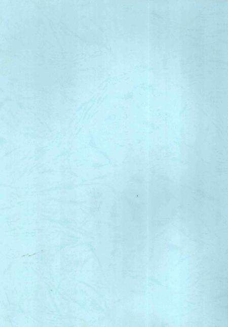 铁道部第五工程局第五工程处志-1974-1999-nan-nan.pdf电子版_其他志预览图3