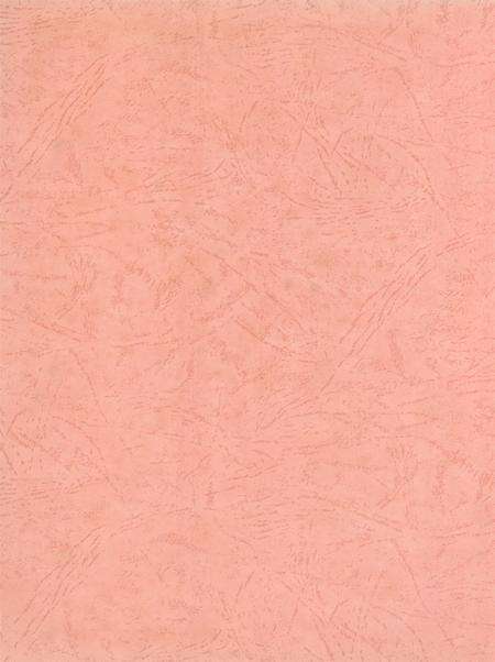 防城港市纪事：1968-2003.pdf电子版_广西壮族自治区志预览图3