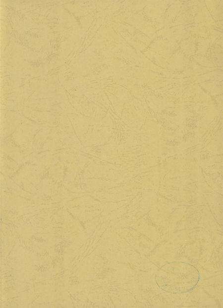 防城港市防城区地名志.pdf电子版_广西壮族自治区志预览图3