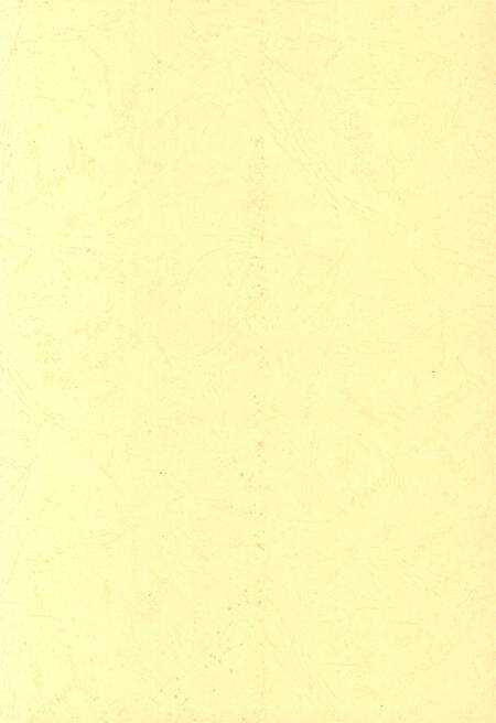 防城港文化遗产从书.历文化遗产部分.pdf电子版_广西壮族自治区志预览图3