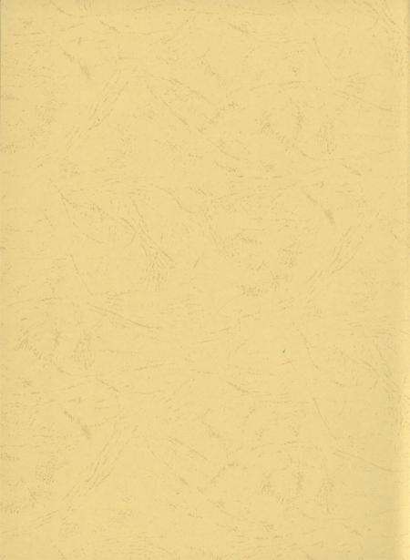 东兴市水利电力志.pdf电子版_广西壮族自治区志预览图3