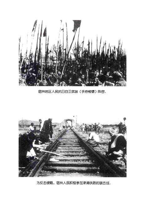 2005版抗战在宿州.pdf电子版_安徽省志预览图3