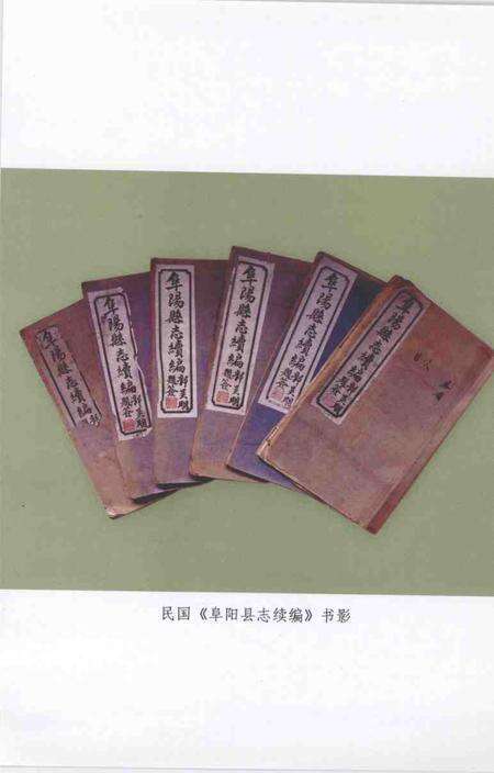 2008版民国《阜阳县志续编》.pdf电子版_安徽省志预览图3