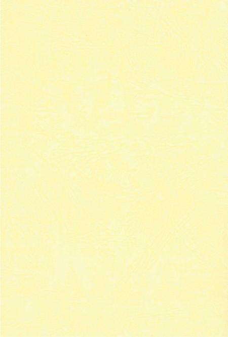 三八五旅在庆阳(上).pdf电子版_甘肃省志预览图3