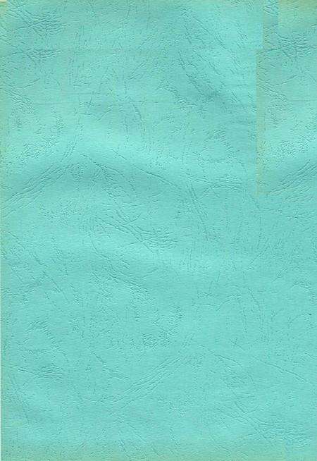 中共郴州市委执政纪事2006.pdf电子版_湖南省志预览图3