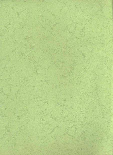 九江年鉴.2008.pdf电子版_江西省志预览图3