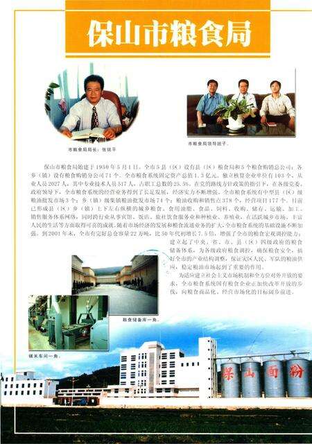 保山年鉴2002.pdf电子版_云南省志预览图3