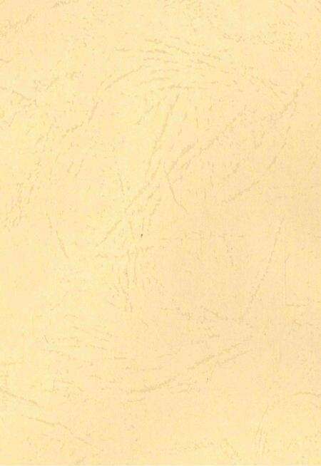 刘集村志.pdf电子版_山东省志预览图3