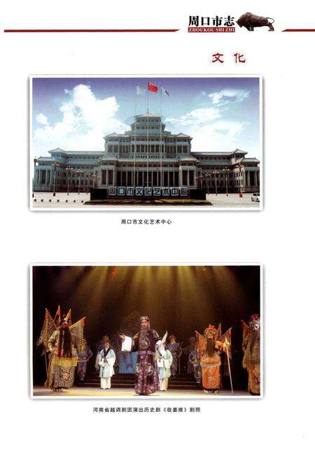 周口市志 下册.pdf电子版_河南省志预览图3