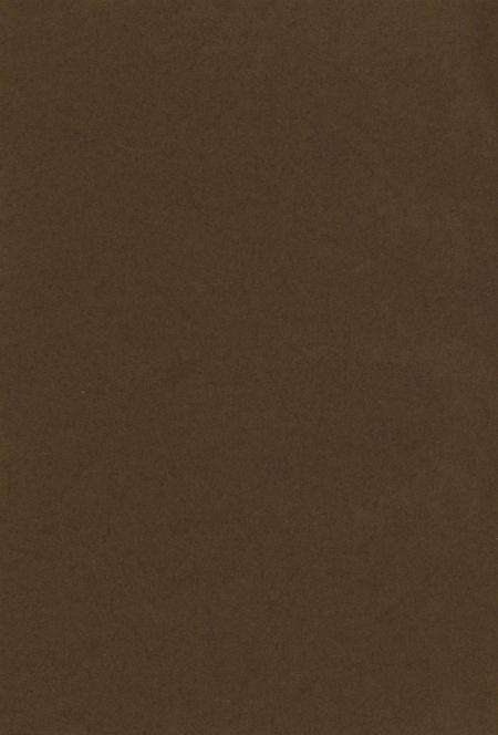 庆阳援西军——红军的一只特殊部队.pdf电子版_甘肃省志预览图3