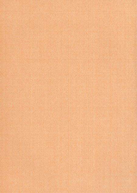 新晃侗族自治县人口和计划生育志.pdf电子版_湖南省志预览图3