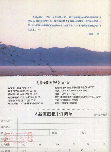 新疆画报2006年第03期.pdf电子版_新疆维吾尔族自治区志预览图3