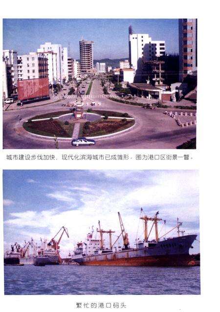正在崛起的防城港市港口区.pdf电子版_广西壮族自治区志预览图3