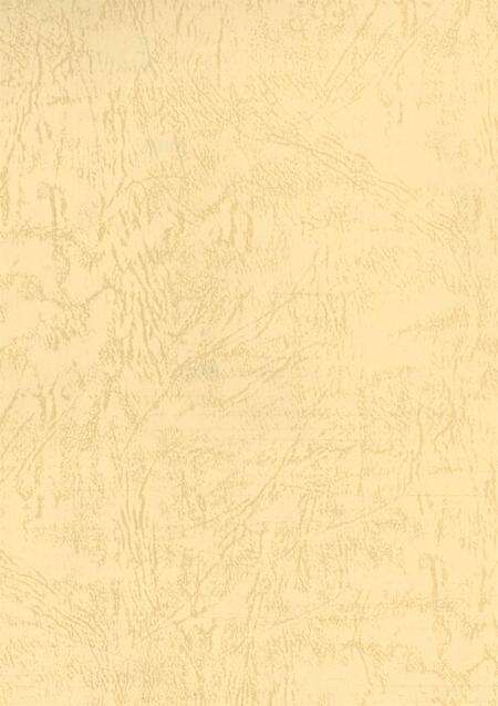 武警阿坝州支队志.pdf电子版_四川省志预览图3