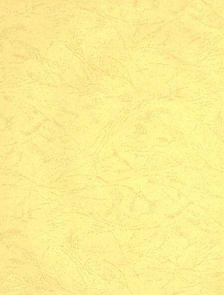 沧州教育局年鉴 2009卷.pdf电子版_河北省志预览图3