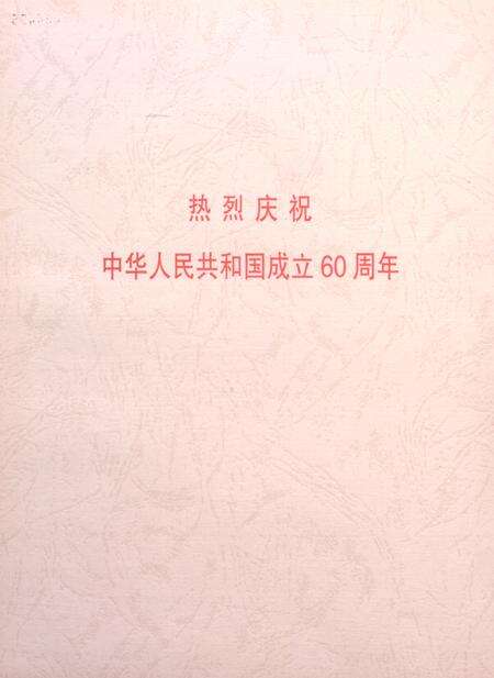 盐城年鉴 2009.pdf电子版_江苏省志预览图3