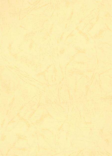 资阳统计年鉴（2002）.pdf电子版_四川省志预览图3