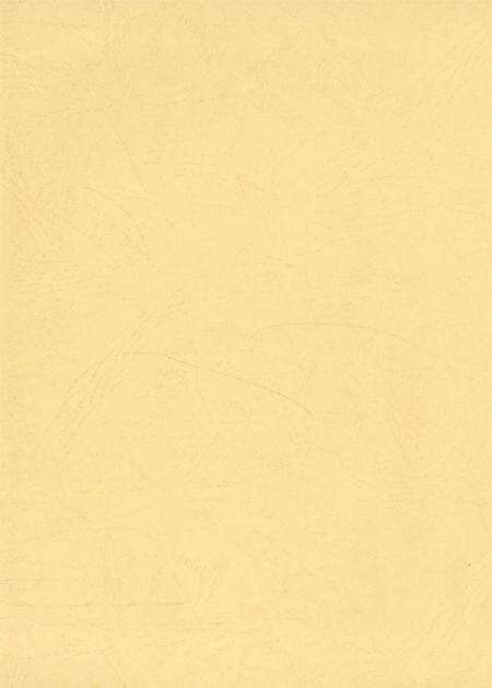 遂宁市政协志.pdf电子版_四川省志预览图3