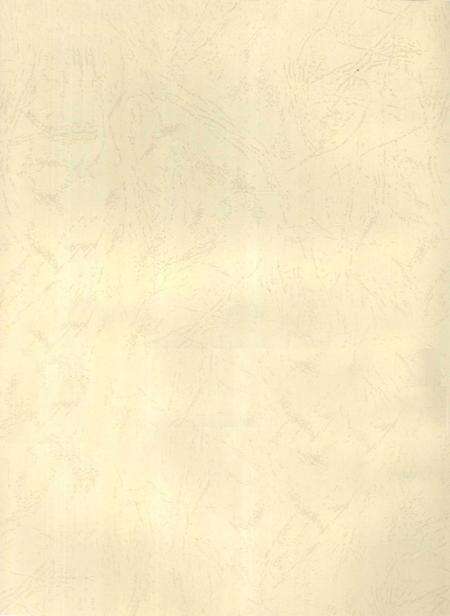 郴州年鉴2008.pdf电子版_湖南省志预览图3