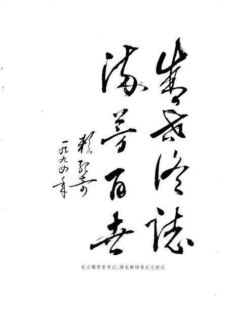 长江镇志.pdf电子版_广东省志预览图3