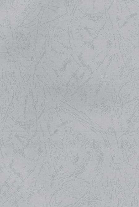 驰骋四海资兴人.pdf电子版_湖南省志预览图3