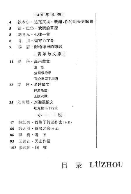 新疆绿洲1995年第05期.pdf电子版_新疆维吾尔族自治区志预览图3
