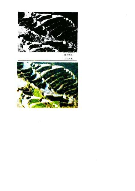 1986-景宁畲族自治县概况.pdf电子版_浙江省志预览图3