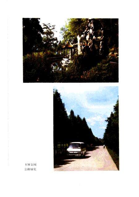 1988-开化林业志.pdf电子版_浙江省志预览图3