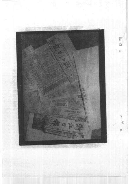 1992-平阳文史资料  第10辑.pdf电子版_浙江省志预览图3