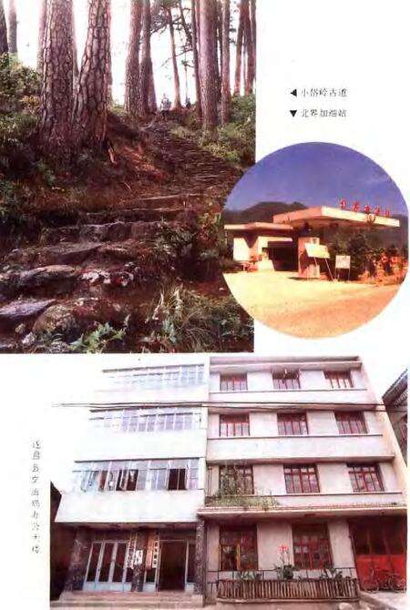 1992-遂昌县交通志.pdf电子版_浙江省志预览图3